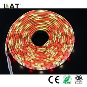 DC12V 1m IP20 High Brightness SMD5050 Rgbww 30/60/120LEDs Flexible LED Strip Light
