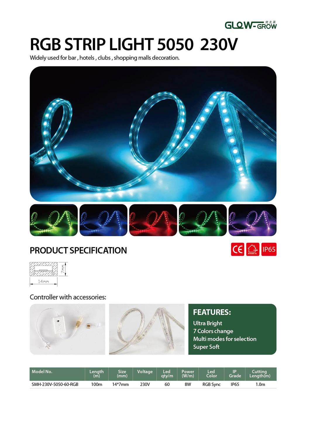 High Voltage 60LEDs/M 5050 RGB LED Strip Light for Hotel House Street Bridge Holiday Decoration