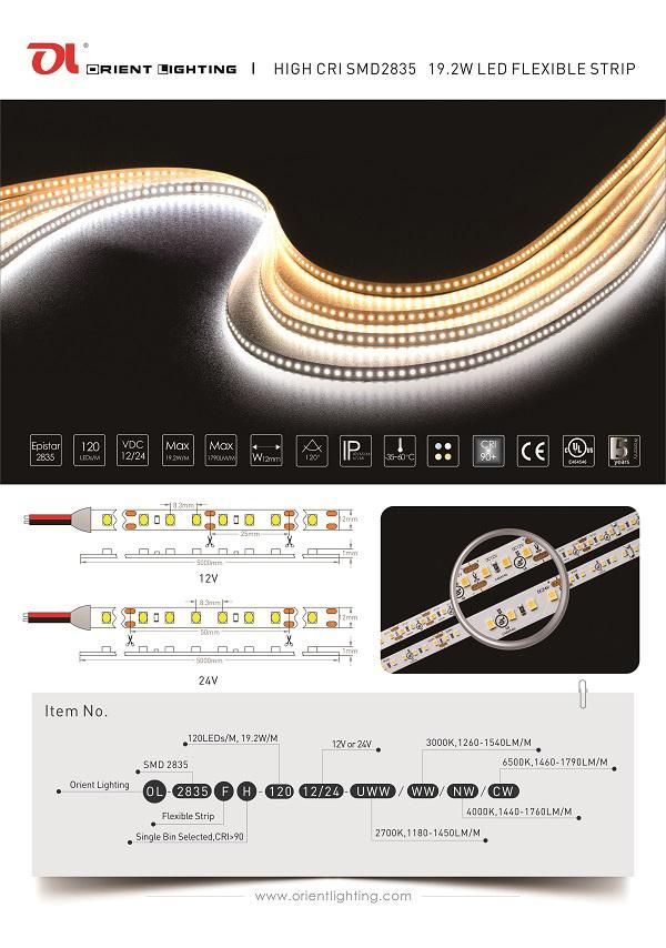 24V 120LEDs/M IP66 6000K LED Strip Lighting for Decoration