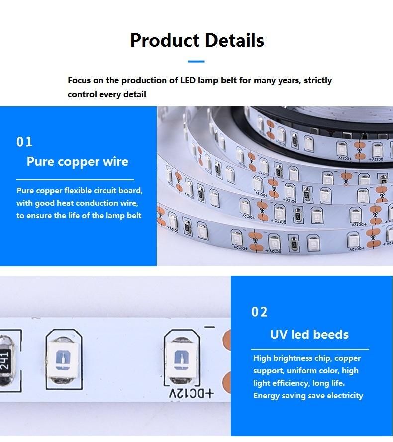 LED Strip Lights AC220V AC110V Multicolor Flexible Roll IP44 Outdoor Waterproof RGB Multicolor LED Light Strips