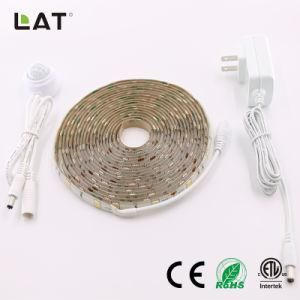 DC12V 5m IP20 Smart SMD5050 Ww/Cw 30/60/120LEDs Flexible LED Strip Light with Sensor Can Adjust 30s to 10min
