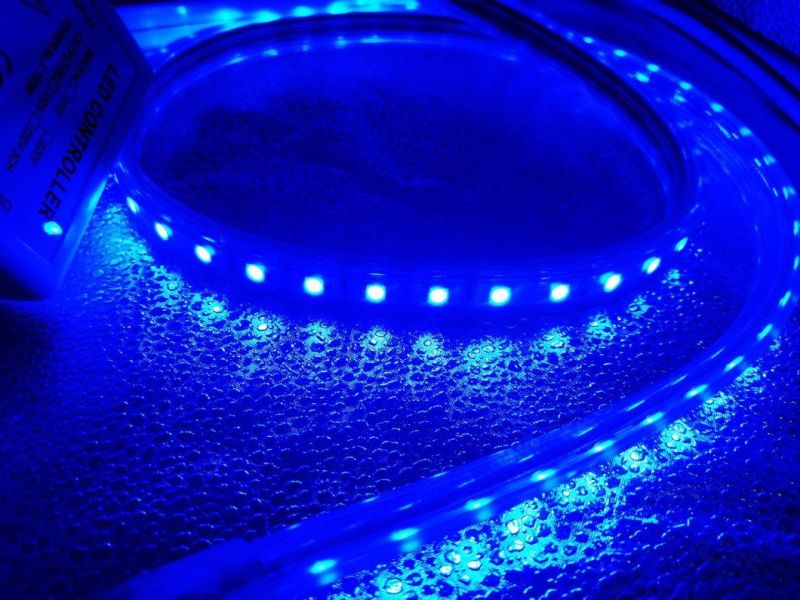 China Wholesale SMD5050 RGB Decoration Light