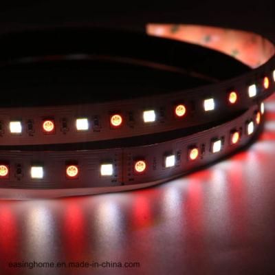 5 Color Rgbww LED Strip Light 5050SMD