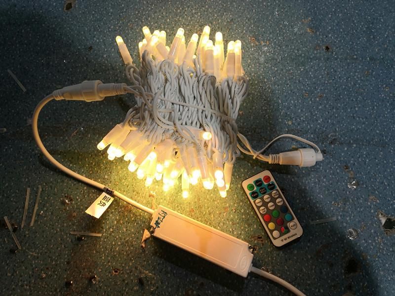 Shower Curtain LED Function Decoration Lights/Decoration Lights for Events/LED Wedding Curtain Christmas Light