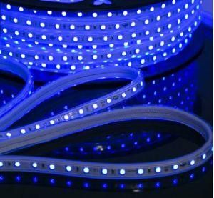 Strip Selling Light Mini RGB Strip Lighting LED SMD3528 4040 DC24V 6V 60LEDs/M Acac220V Flexible LED Strip Light