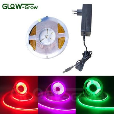 Green Flexible 5mm Pfc Board 384LEDs/M Flexible COB Strip Light for Bar House Party Square Decoration