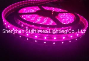 5 Years Warranty LED High Brightness 3528 Single Color Flexible Strip Light LED Lights Christmas Decorations LED Light Wedding Decoration Light