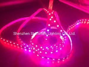5 Years Warranty Christmas Decoration Addressable Digital Tape Lighting RGB LED Disco Pixel Flexible Strip Light