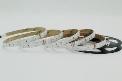 High Bright LED Strip DC12V 24V RGB LED Flexible Light for Building Decoration