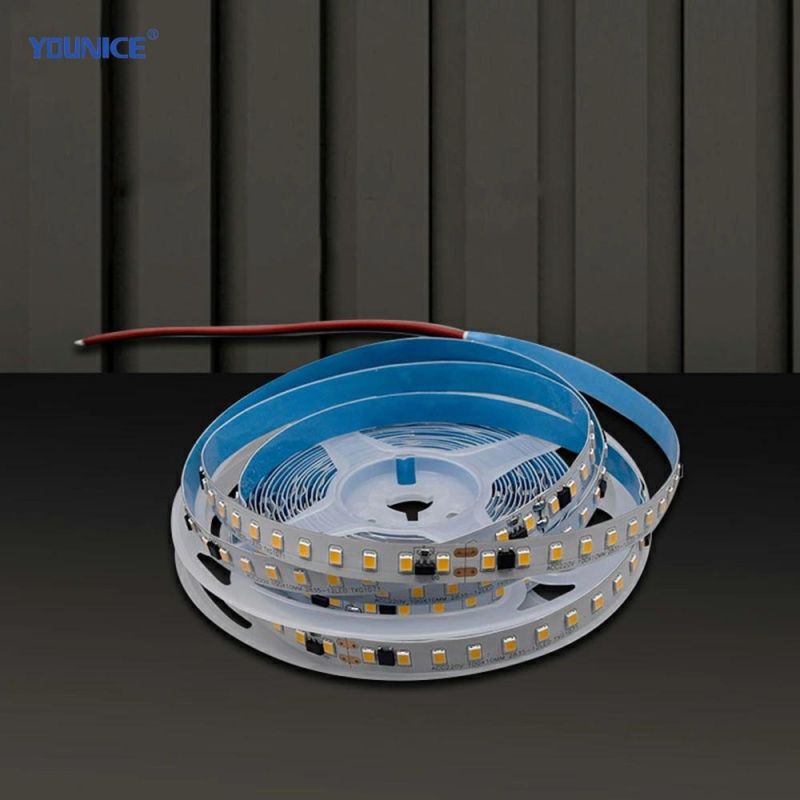 No Need LED Driver, Easy to Install 220V High Voltage LED Flexible Strip