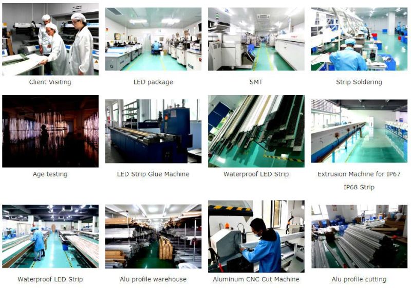 Waterproof Neon Flex LED Lighting Linear Light