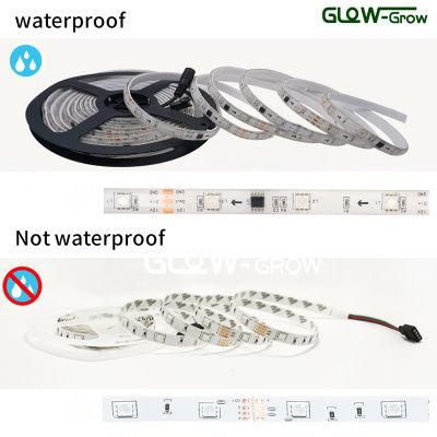 12V 30LEDs/M Smart RGB LED 5050 Strip Light with Amazon Alexa Google Tuya WiFi