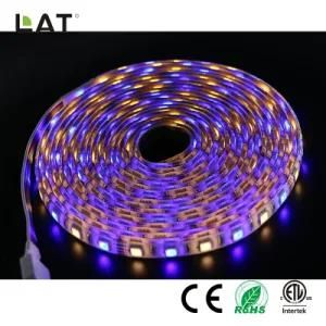 DC12V 1m IP65 High Brightness SMD5050 RGBW 60/120LEDs Flexible LED Strip Light