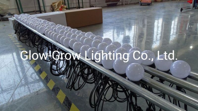 UL Outdoor Patio Holiday Lights Festoon String Lights with Strawberry Style Shatterproof Bulbs for Christmas Home Wedding Birthday Decoration