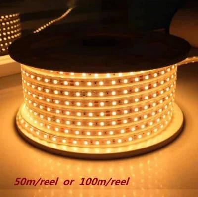 CE RoHS High Voltage Mains RGB LED Neon AC 110V 220V Inputting 2 Years Warranty Anti UV LED Rope Light IP65 Flexible Strip Light