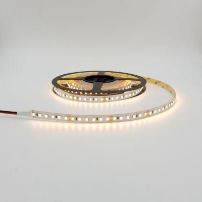 Strip Light 30/60/144 LED/M DC 5V/12V 5050 2835 3528 Addressable Dream Color LED Strip