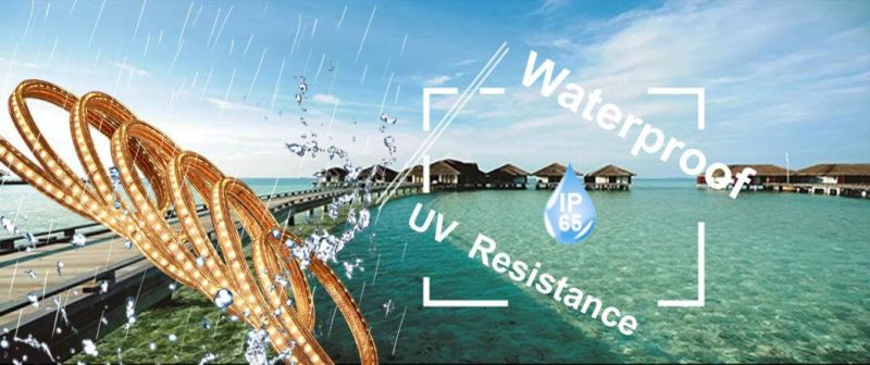 LED Strip Light for Terrace Outdoor Using Waterproof IP65 Ce Certificate