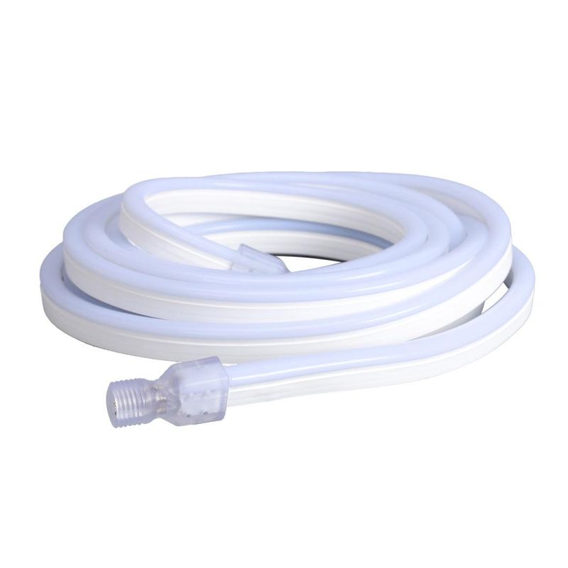 Christmas Decoration 110V/230V LED Flexible Colorful Light