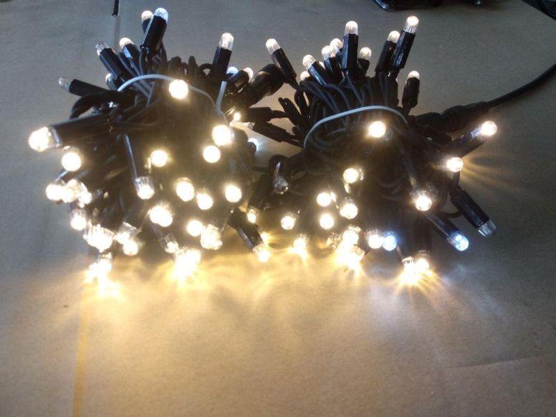 Holiday Decorative Fairy Light Multi Color Light Ledstring Lights