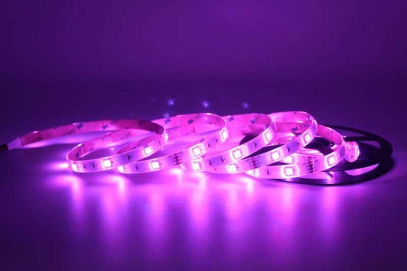 Waterproof IP65 SMD5050 Flexible RGB LED Strip Light Multicolor LED Rope Light
