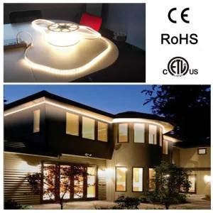 LED Light Strip 5050 for Hotel Outside Decorations