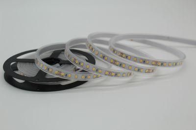 2835 LED Outdoor Strip Flex Strip Light Wholesale Low Cost Per Roll 24V Lighting