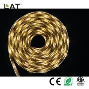 DC24V 1m IP65 Double CCT SMD5025 Ww and Cw 30/60/120LEDs Flexible LED Strip Light