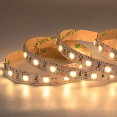 SMD5050 300LED/5M 24V 95lm/w Flexible LED strip