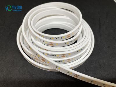 2700K 11mm 2835SMD IP68 Waterproof LED Strip