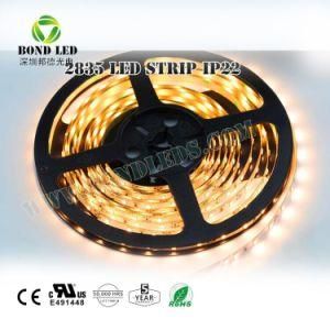 High Brightness 300LEDs 12W/M Flexible LED Strips