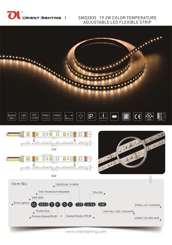 UL Ce Approved IP66 Color Temperature Adjustable SMD LED Strip