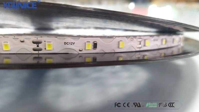 50m Per Roll S Type LED Strip for Signage Channel Letter