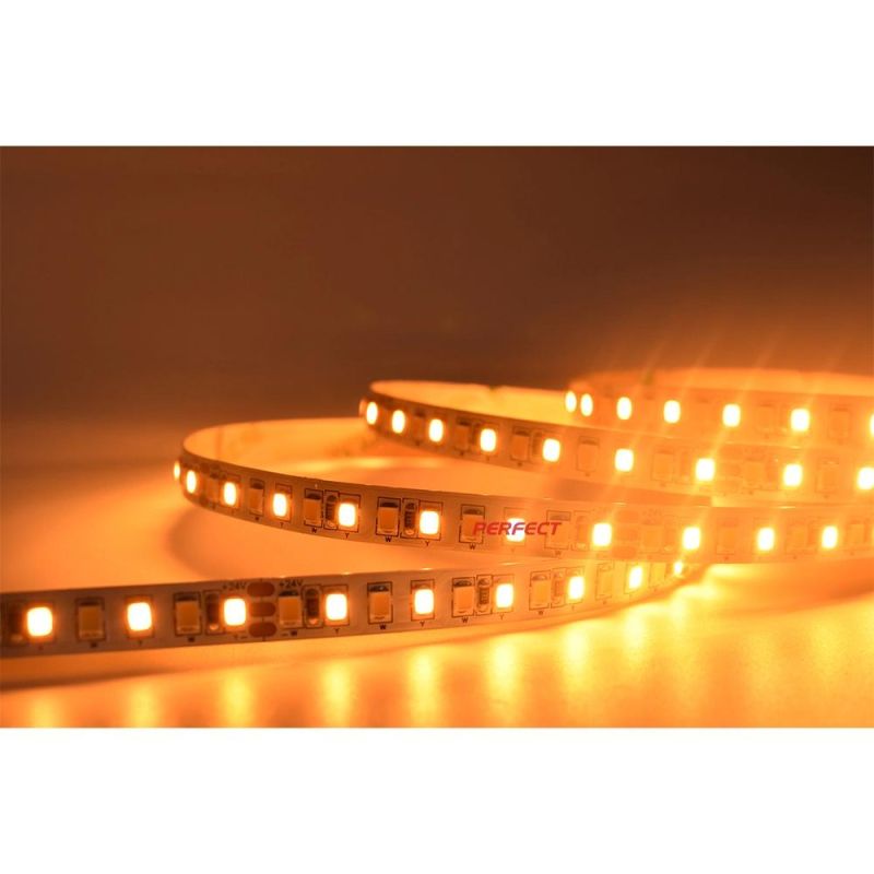 LED Dual Color 168 LED/M SMD2835 High CRI90 2 in 1 Control Multi Color CCT Flexible Strip LED Light