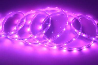 Holiday Lighting Decorating 12V/24V SMD 5050 RGB Flexible LED Strip Light
