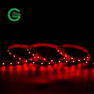 High Brightness SMD3528 240LED 20W LED Strip DC24 Strip for Decoration