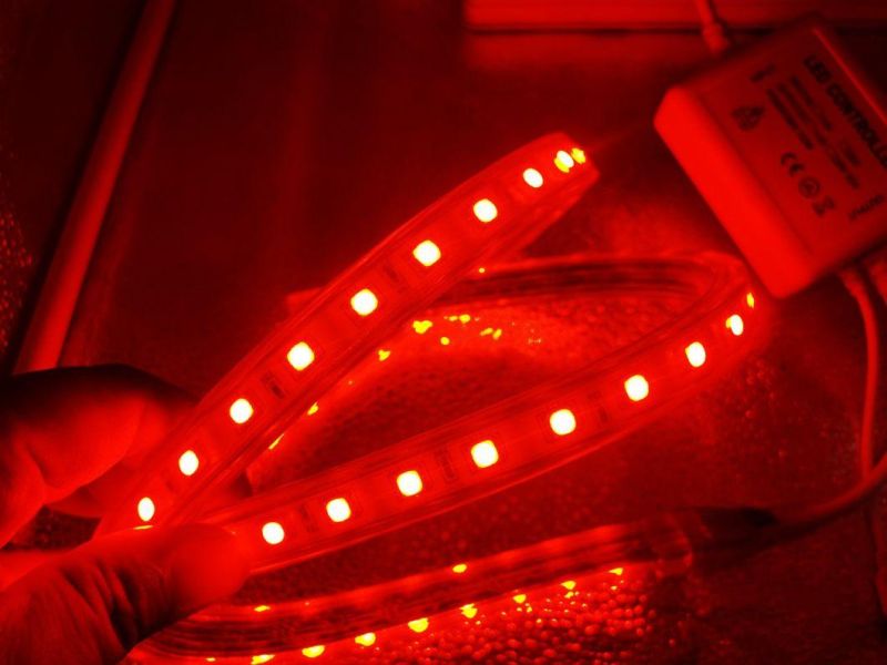 China Wholesale SMD5050 RGB Decoration Light