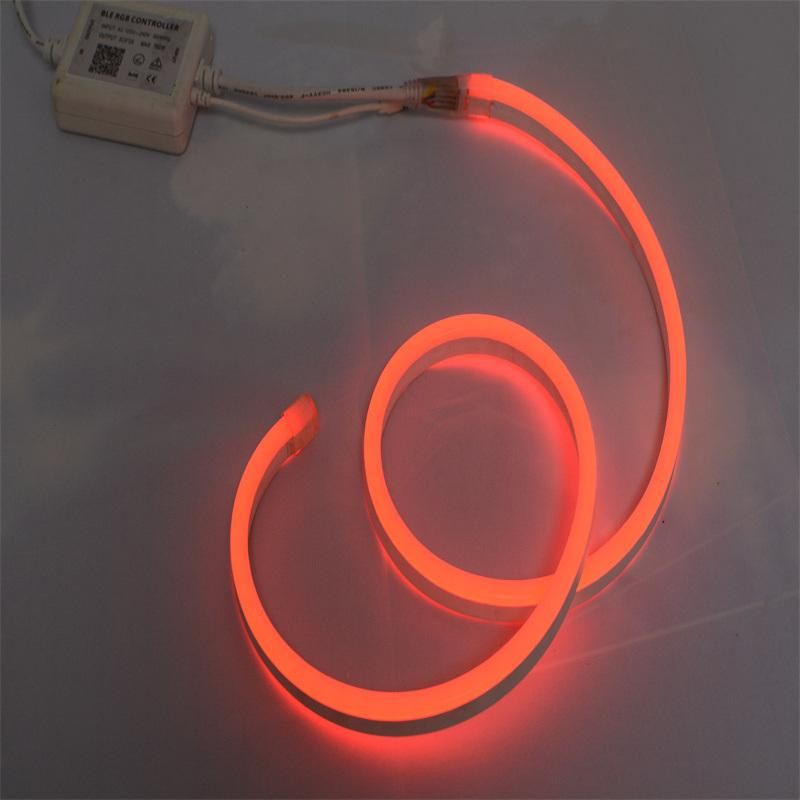 China Wholesale Manufacturer SMD5050 LED Neon Christmas Decoration Light