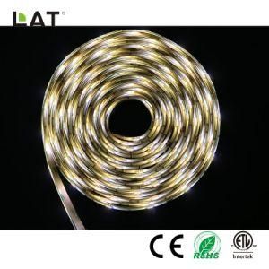 DC12V 1m IP65 CCT SMD5025 Ww and Cw 30/60/120LEDs Flexible LED Strip Light