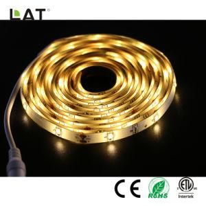 DC12V 3m IP65 High Brightness SMD2835 Ww/Cw 30/60/120LEDs Flexible LED Strip Light
