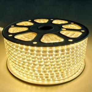 110V/220V 3528 LED Strip with 7-8lm for Cozy Home Decoration