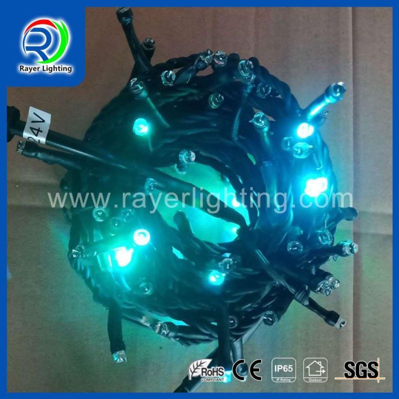 Synchro RGB Color Changing Christmas String Lights