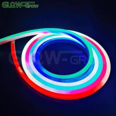 24V IP65 Color Chasing LED Dream Neon Flex Light for Christmas Decorations