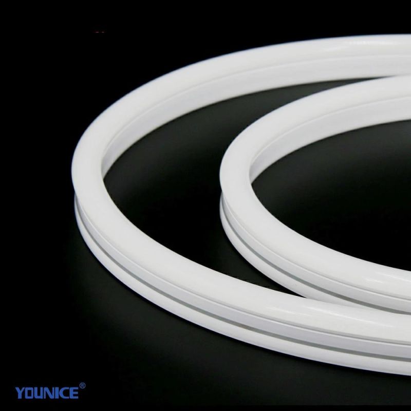 UV Resistance Dream Color Spi 5050 RGB LED Neon Strip with Stable Signal for Landscape Lighting