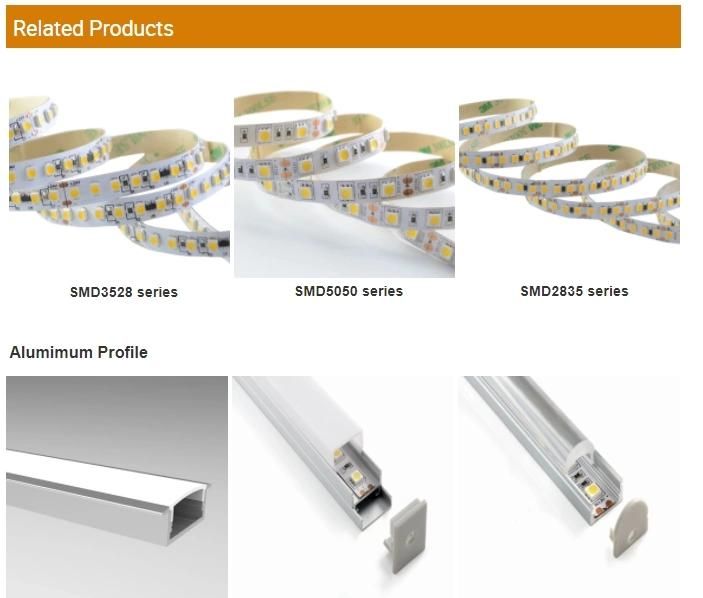 Non-waterptoof 300LED per roll 24V SMD5050 LED STRIP
