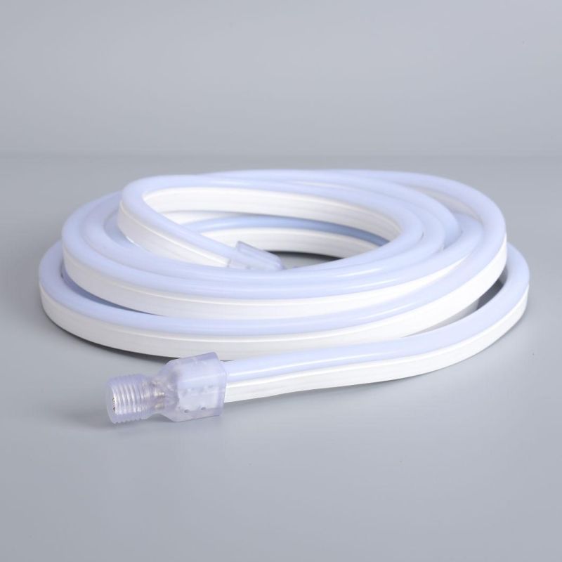 Christmas Decoration 110V/230V LED Flexible Colorful Light