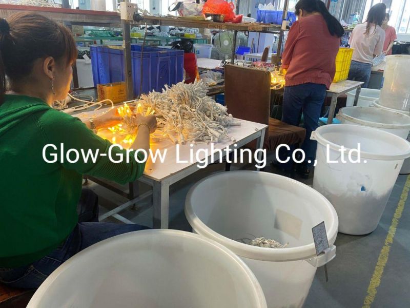 Warm White IP65 Waterproof Outdoor Use EU Market High Quality Christmas Customized LED String Lights with Blue Flash Bulb