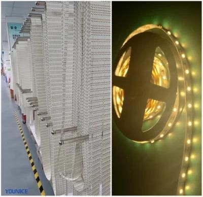PCB8mm Width SMD2835 LED Ribbon Light Flexible Strip
