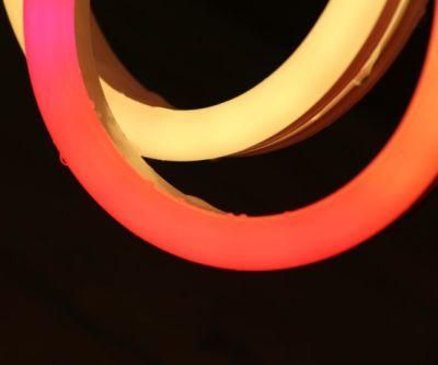 Bendable LED Neon Flex with RGB Digital LED Strip for Neon Light Christmas Decoration Rope Lighting