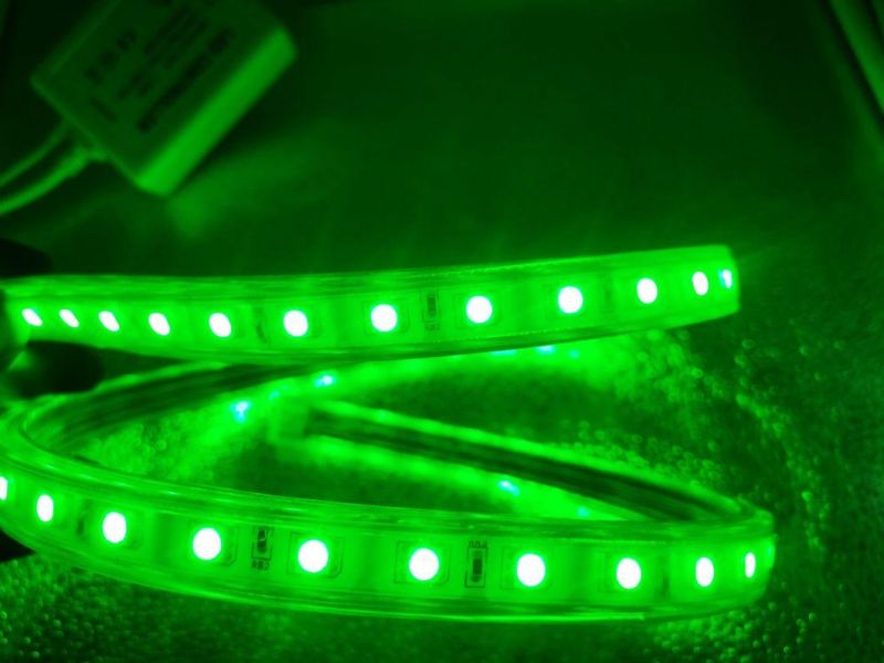 China Wholesale SMD5050 RGB Decoration Light