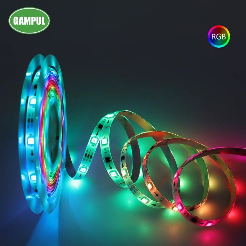 China Manufacturer 2-Years Warranty UL Ce 18W Flexible Smart Chasing RGB Tape Lighting LED Strip Light